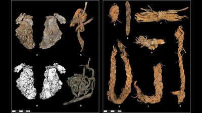 Inside a cave older than the Egyptian pyramids: A 12,000-year-old stitched piece of elk hide may be the world’s oldest textile. world News