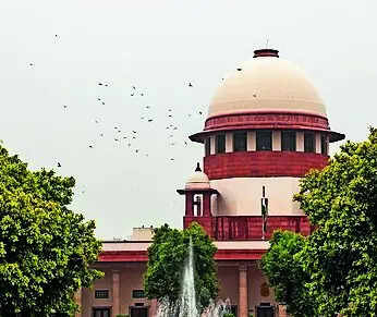 SC: Child’s right to know father is more important than privacy. india news
