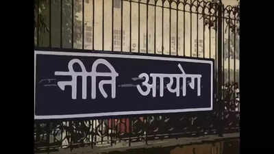 2 academicians will become part of NITI Aayog. india news