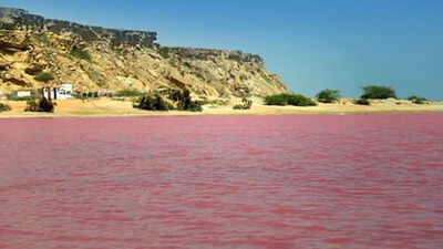 10 Pink Lakes around the world: From Lake Hillier to the Pink Lake world News