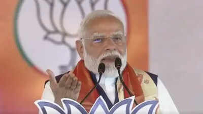 No need to panic, but follow PM’s energy guidelines: Government india news