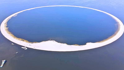 Protecting life: Poland spends millions on an artificial island to protect rare birds and conserve wildlife world News