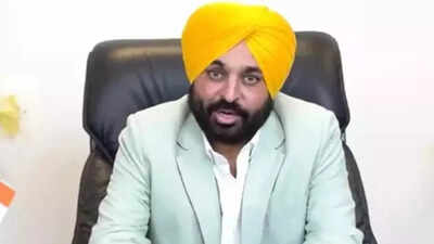 Bhagwant Mann: ‘All speculations have been put to rest’: Bhagwant Mann on AAP government winning trust vote in Punjab Assembly. india news