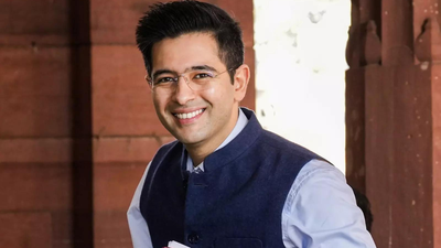 ‘The line between defamation and criticism is very thin’: Delhi HC on Raghav Chadha’s personality rights petition india news
