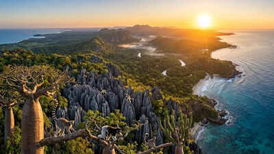 Isolated for 180 million years: How the island of Madagascar became a hotspot for Earth’s unique creatures. world News