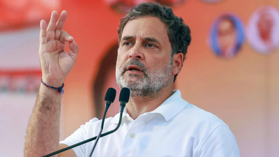 ‘Please expedite my returns’: Rahul Gandhi’s response to his ‘BJP-supporting’ financier wins the Internet | india news