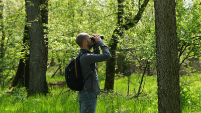 Crowdfunding helps Serbian bird lovers save woodland