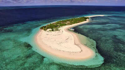10 largest island countries in the world: Indonesia, Japan, Papua New Guinea among the largest island countries. world News
