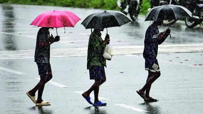 Kerala welcomes monsoon: Rainy season begins amid concerns of El Nino. india news