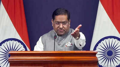 Speed ​​up verification, MEA tells Dhaka. india news