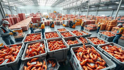 Banned antibiotics behind 43% shrimp export decline; CDSCO wants strict enforcement. india news