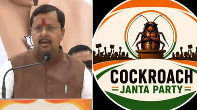 ‘People sitting abroad…’: BJP chief’s indirect attack on CJP’s protest for ‘dragging youth into negative politics’. india news
