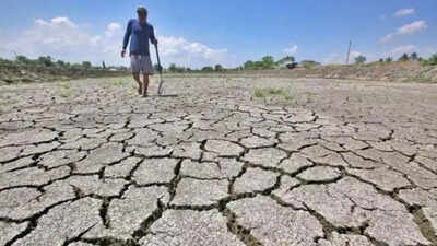 European agency says El Nino is here amid Pacific warming india news