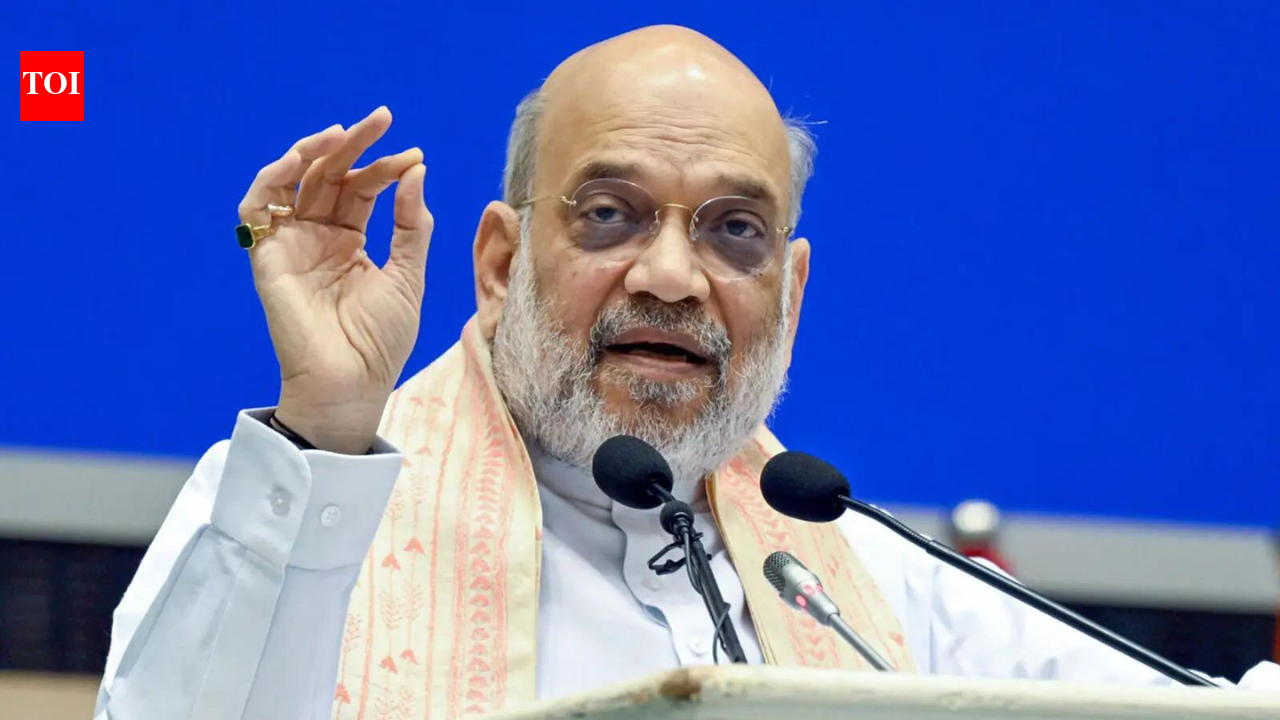 Amit Shah to unveil land port management system for better border operations. india news