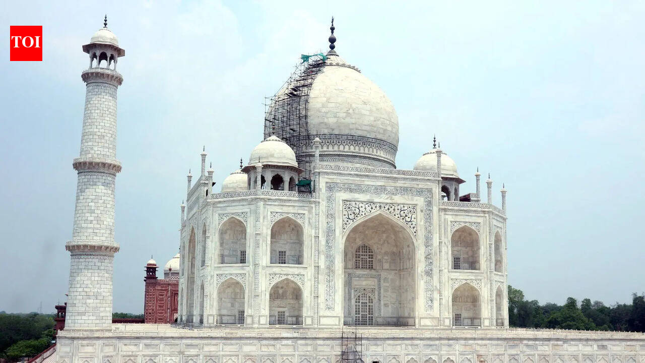 Their job is to find flaws in Taj Mahal