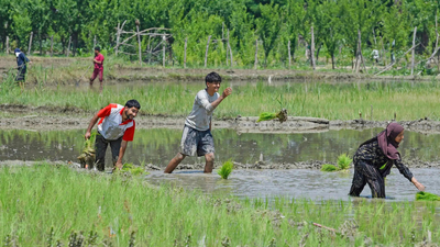 The government is prepared for the tough sowing season ahead. india news