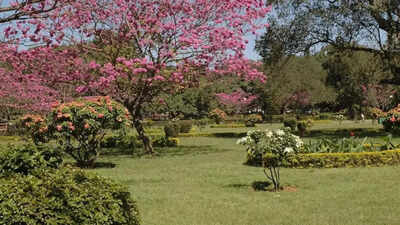Canadian man settles in India with wife’s family: Cost of living much lower than Toronto, loses 14 pounds in 5 months