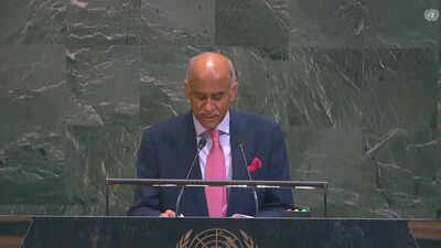 ‘Jammu and Kashmir an integral part of India’: India criticizes Pakistan at UN. india news